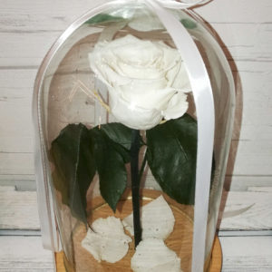 City Flowers galeria