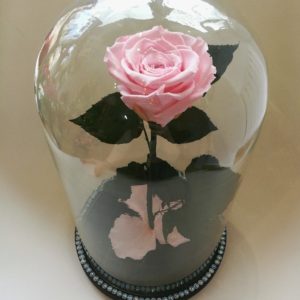 City Flowers galeria